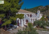 Detached villa with land for sale on España, Alcaudete, ref: TR381238 photo