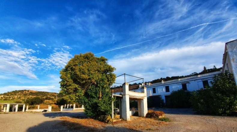 Granada - Albolote - 1200m2