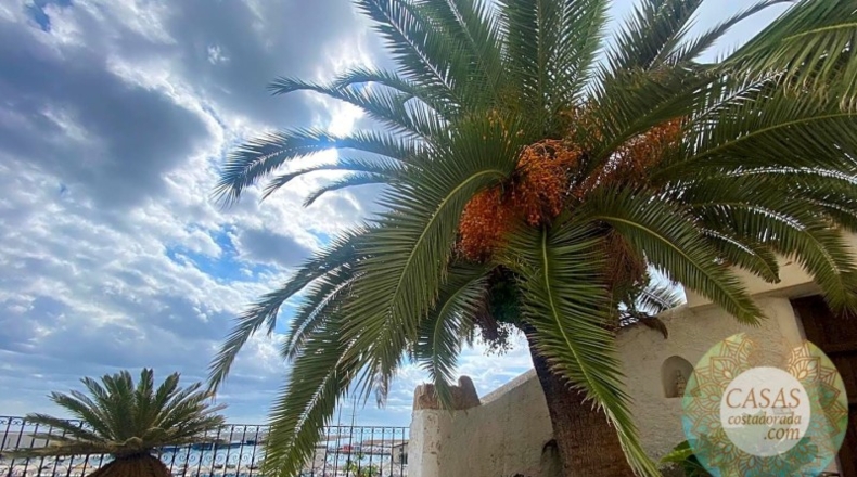 Tarragona - l'Ametlla de Mar - 232m2