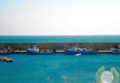 Chalet independiente con terreno en venta en la España, l'Ametlla de Mar, ref: TR140980 foto