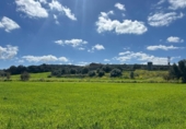 Chalet independiente con terreno en venta en la España, Manacor, ref: TR158736 foto