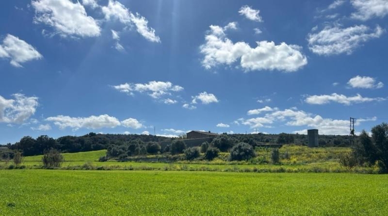 Islas Baleares - Manacor - 896m2