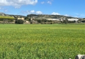 Chalet independiente con terreno en venta en la España, Manacor, ref: TR158736 foto