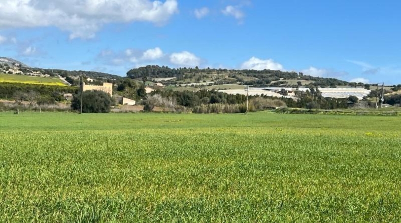 Islas Baleares - Manacor - 896m2