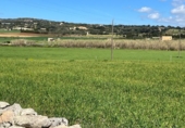 Chalet independiente con terreno en venta en la España, Manacor, ref: TR158736 foto