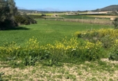 Chalet independiente con terreno en venta en la España, Manacor, ref: TR158736 foto