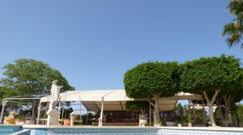 Alicante - Crevillente - 14000m2