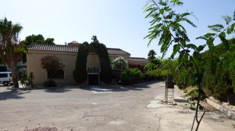Alicante - Crevillente - 14000m2