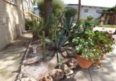 Chalet independiente con terreno en venta en la España, Albatera, ref: TR135450 foto