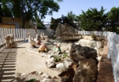 Chalet independiente con terreno en venta en la España, Albatera, ref: TR135450 foto