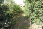 Masía con terreno en venta en la España, Vila-real, ref: TR294962 foto