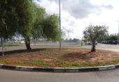 Masía con terreno en venta en la España, Vila-real, ref: TR294962 foto
