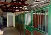 Chalet independiente con terreno en venta en la España, Gijón, ref: TR236223 foto