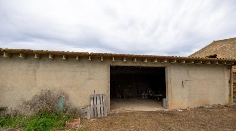 Islas Baleares - Manacor - 103000m2