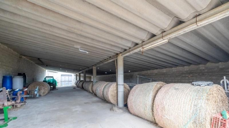 Islas Baleares - Manacor - 103000m2