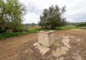 Chalet independiente con terreno en venta en la España, Manacor, ref: TR387559 foto