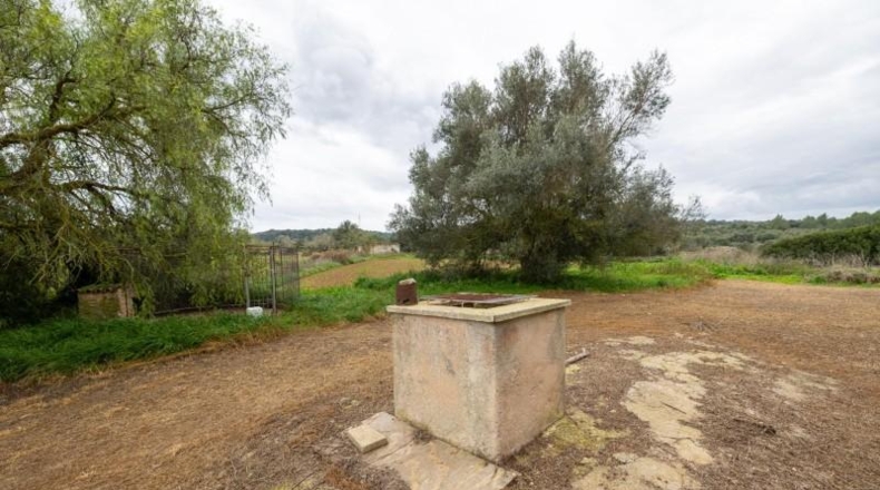 Islas Baleares - Manacor - 103000m2