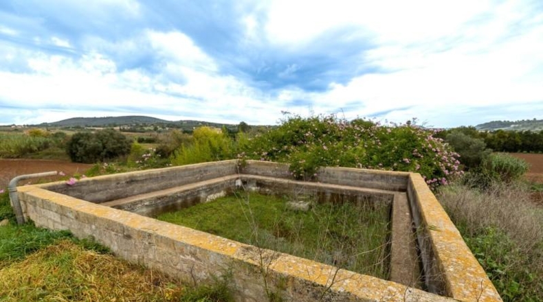 Islas Baleares - Manacor - 103000m2
