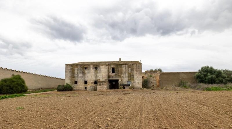 Islas Baleares - Manacor - 103000m2
