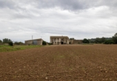 Chalet independiente con terreno en venta en la España, Manacor, ref: TR387559 foto