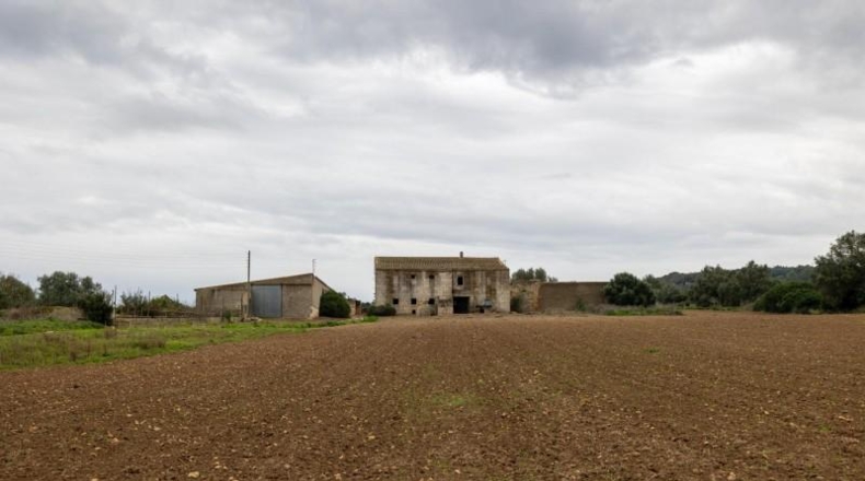 Islas Baleares - Manacor - 103000m2