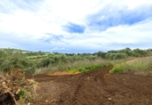 Chalet independiente con terreno en venta en la España, Manacor, ref: TR387559 foto