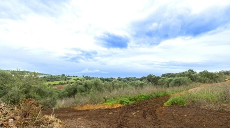 Islas Baleares - Manacor - 103000m2