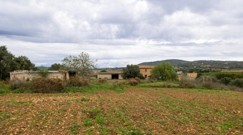 Islas Baleares - Manacor - 103000m2