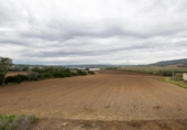 Chalet independiente con terreno en venta en la España, Manacor, ref: TR387559 foto