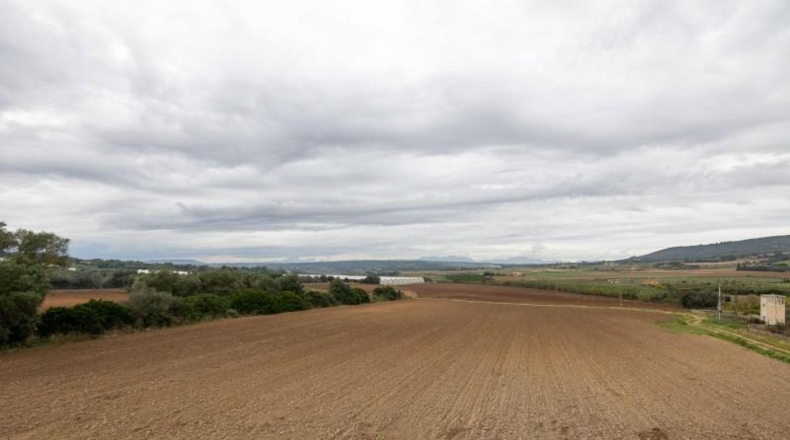 Islas Baleares - Manacor - 103000m2