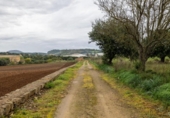 Chalet independiente con terreno en venta en la España, Manacor, ref: TR387559 foto