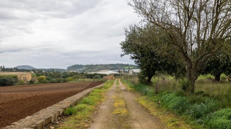 Islas Baleares - Manacor - 103000m2