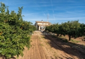 Xalet independent amb terreny en venda a la España, Roda de Berà, ref.: TR389144 foto