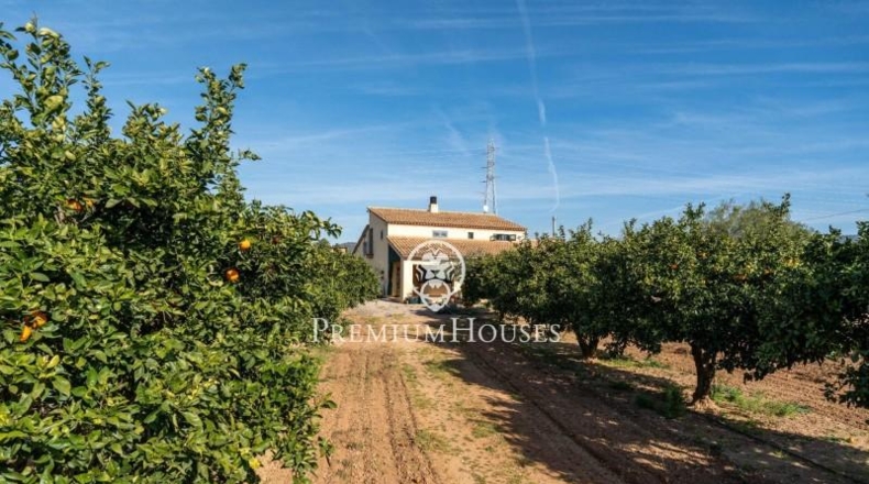 Tarragona - Roda de Berà - 52163m2
