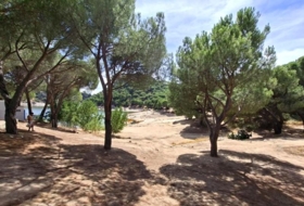 Foto 12