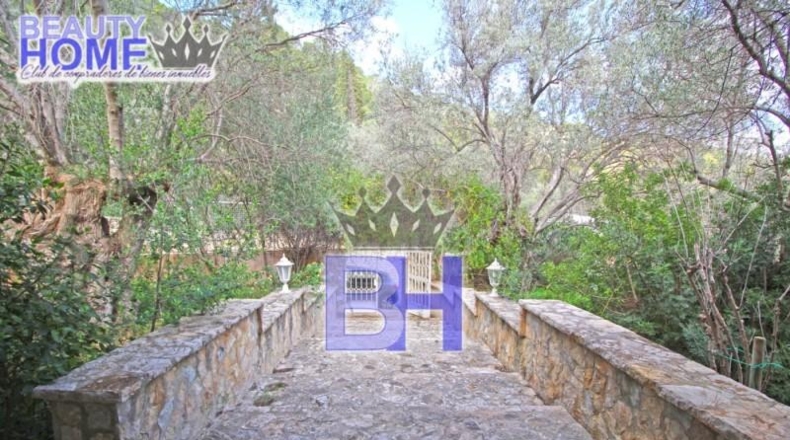 Islas Baleares - Buñola - 1628m2
