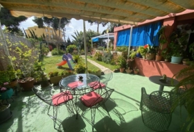Foto 7