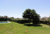 Chalet independiente con terreno en venta en la España, Puçol, ref: TR159444 foto