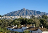 Xalet independent amb terreny en venda a la España, Marbella, ref.: TR373853 foto