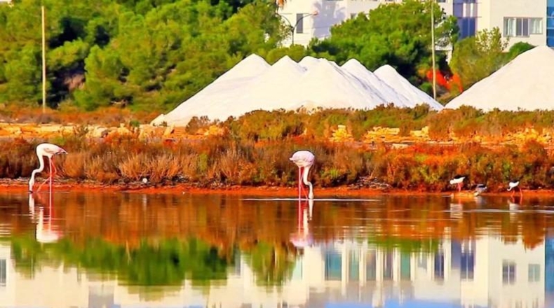 Islas Baleares - Las Salinas - 360m2