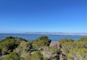 Chalet independiente con terreno en venta en la España, Llucmajor, ref: TR315022 foto