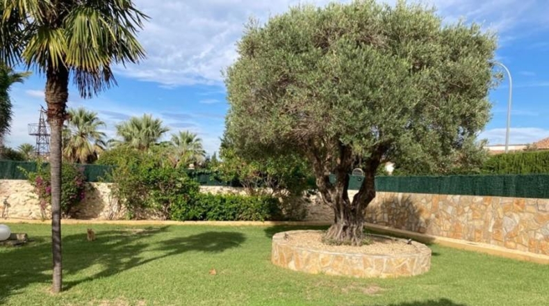 Alicante - Denia - 2400m2