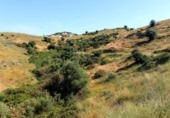 Casa de campo con terreno en venta en la España, Campo-Mijas, ref: TR145778 foto