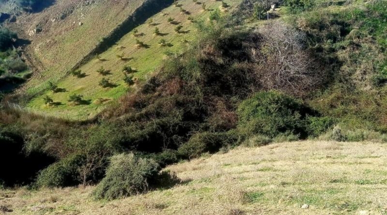 Málaga - Mijas - 51400m2