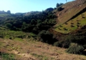Casa de campo con terreno en venta en la España, Campo-Mijas, ref: TR145778 foto