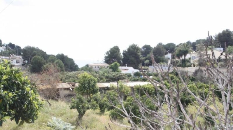 Alicante - Benisa - 5160m2