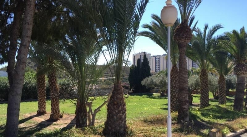 Alicante - Villajoyosa - 5500m2