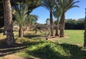 Chalet independiente con terreno en venta en la España, Villajoyosa, ref: TR134483 foto