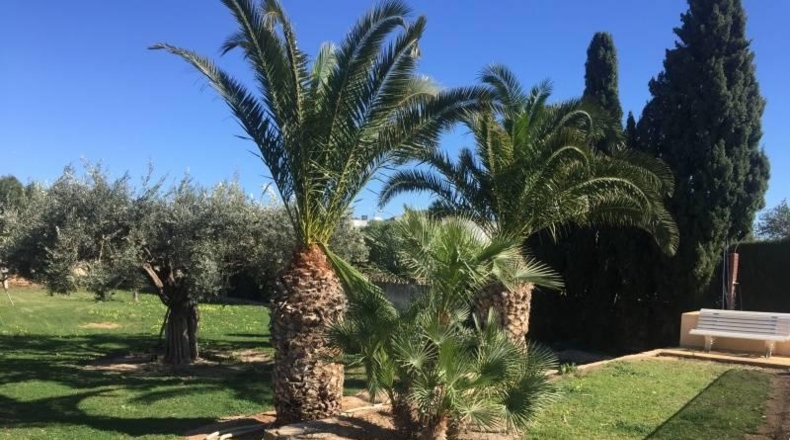 Alicante - Villajoyosa - 5500m2