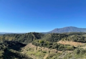 Chalet independiente con terreno en venta en la España, Estepona, ref: TR265436 foto